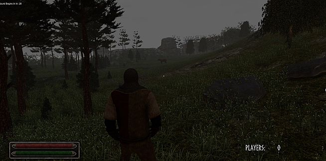 Viking Age: Odin's Warrior