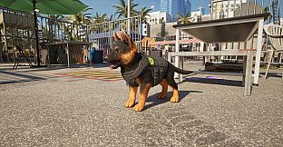 Quarantine Zone: The Last Check - Miami Supporter Pack