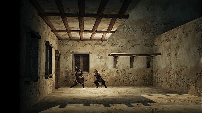 the Shadow of Swallow