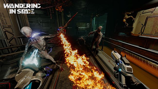 Wandering in Space VR