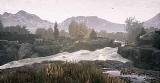 The Dead Tree of Ranchiuna