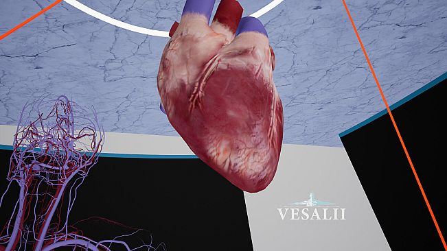 Vesalii Anatomy VR Student