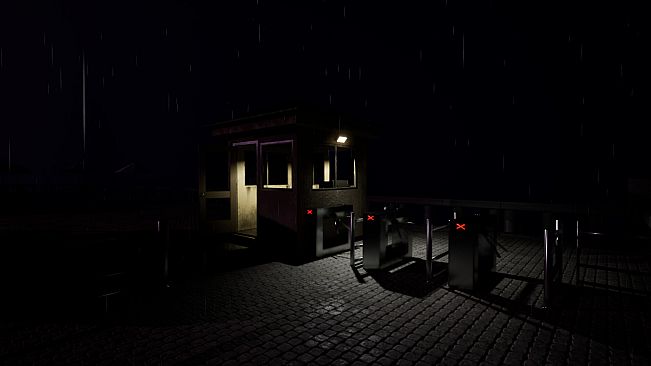 Corcovado's Night Guard