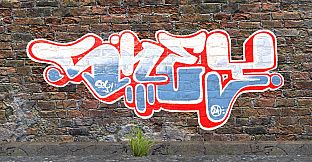 Graffiti Bombing
