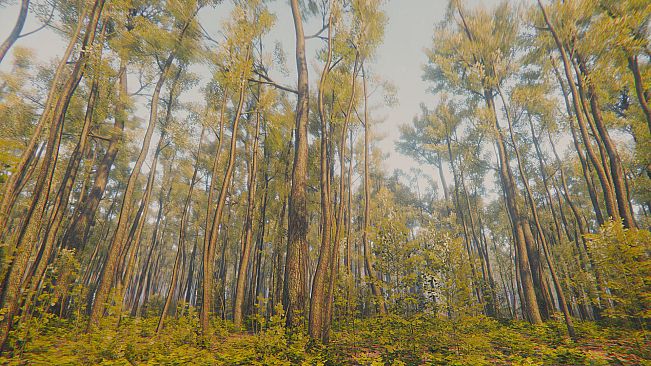 Mindfulness Simulator - ASMR Meditation Game