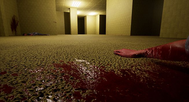 The Backrooms Project