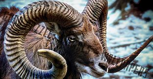 Good puzzle: Animals - Wallpapers