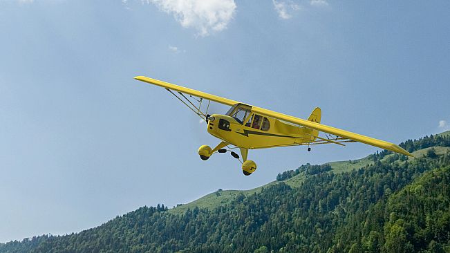 RealFlight Evolution - 2025 Year Content Pass