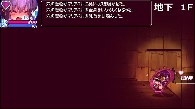 The Den of Chaos2 - 混沌の魔窟殿２～アッサマラームの遺跡編～