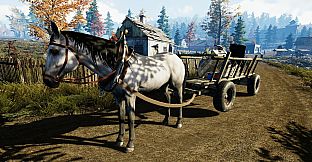 Pool Cleaning Simulator & Farmer's Life Bundle