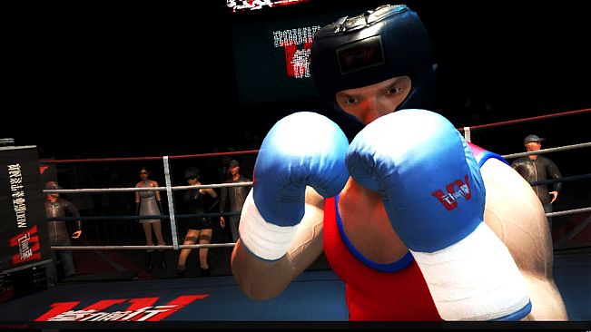 Boxing Saga