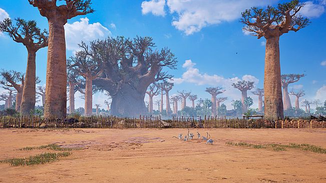 TEKKEN 8 - BAOBAB HORIZON