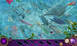 Nevertales: Faryon Collector's Edition