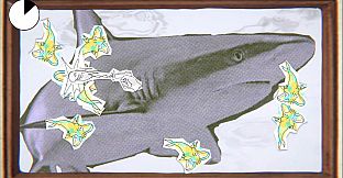 Dreaming With Sharks