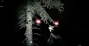 The Hollow Lighthouse