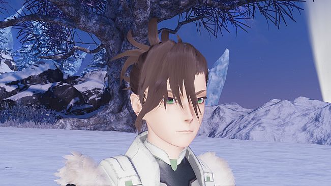 Phantasy Star Online 2 New Genesis - Silver Peaks Kvaris Pack/Type 1 Pack