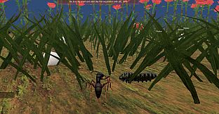 Ant World