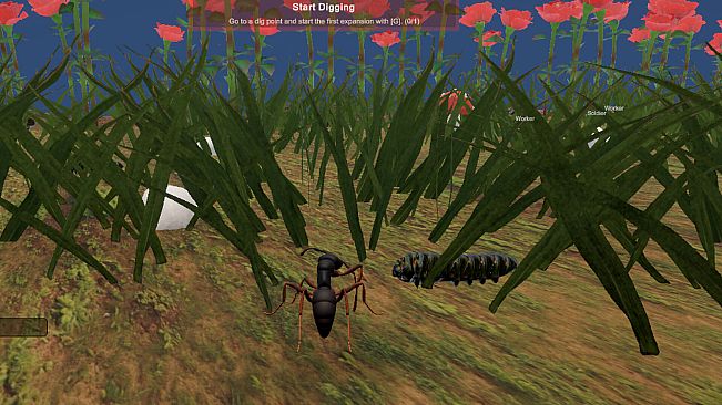 Ant World