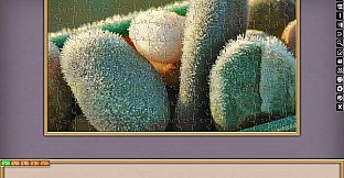 Jigsaw Puzzle Pack - Pixel Puzzles Ultimate: Winter