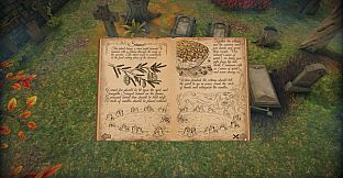 The Necromancer's Tale