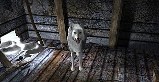 Nancy Drew: The White Wolf of Icicle Creek