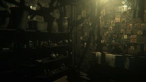 Project Nightmares Case 36: Henrietta Kedward