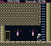 The Succubus Queen and the Holy Sword