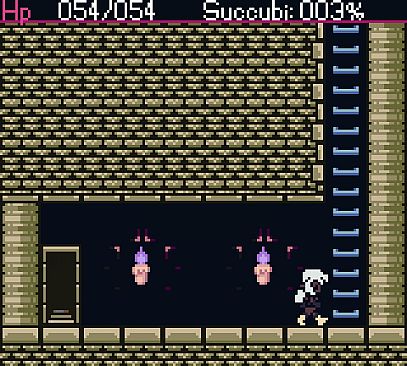 The Succubus Queen and the Holy Sword