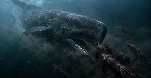 Puzzle Whales