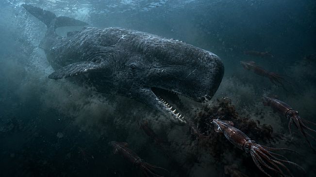 Puzzle Whales