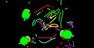 GGG Collection - Screenloopers