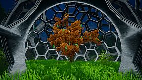 My Money Grows On Trees