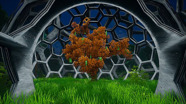 My Money Grows On Trees