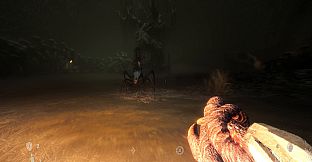 The Void