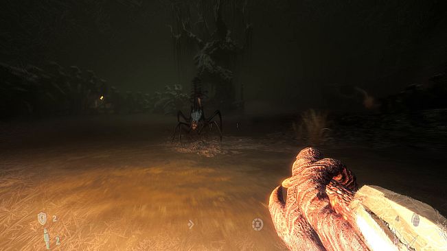 The Void