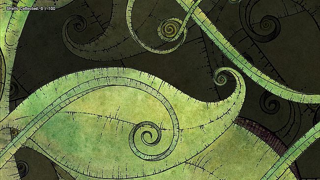 Lost my Collection of 100 Shells