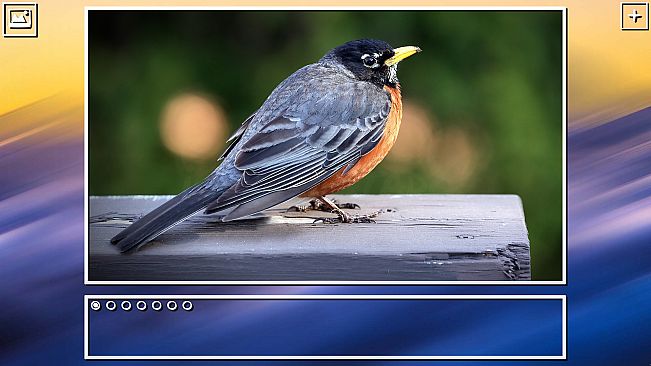 Super Jigsaw Puzzle: Generations - Birds Puzzles