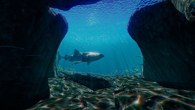 What Lies Beneath