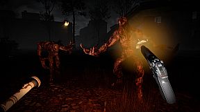 The Brookhaven Experiment