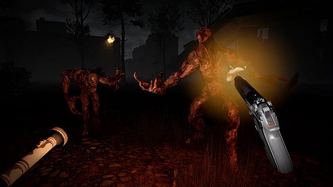 The Brookhaven Experiment