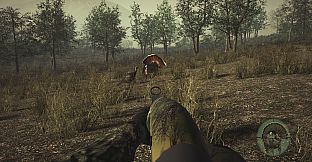 Pro Tukey Hunting