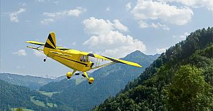 RealFlight Evolution – Hangar 9 Clipped-Wing Cub 10cc