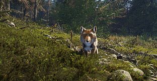 theHunter: Call of the Wild - Sundarpatan Nepal Hunting Reserve - Windows 10