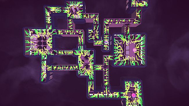 Organism Detected