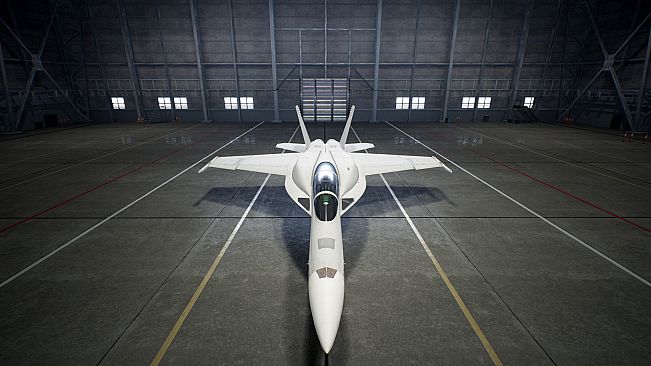 ACE COMBAT7: SKIES UNKNOWN - F/A-18F Super Hornet Block III Set