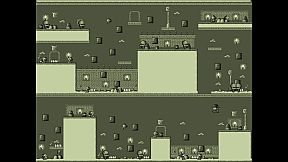 Indiana Boy Steam Edition