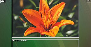 Super Jigsaw Puzzle: Generations - Flowers Puzzles