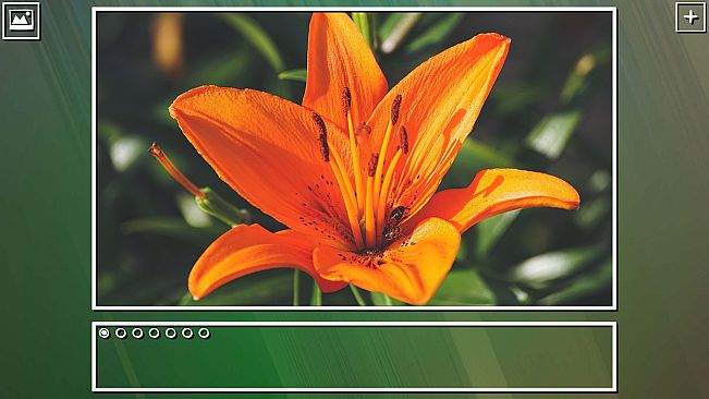 Super Jigsaw Puzzle: Generations - Flowers Puzzles