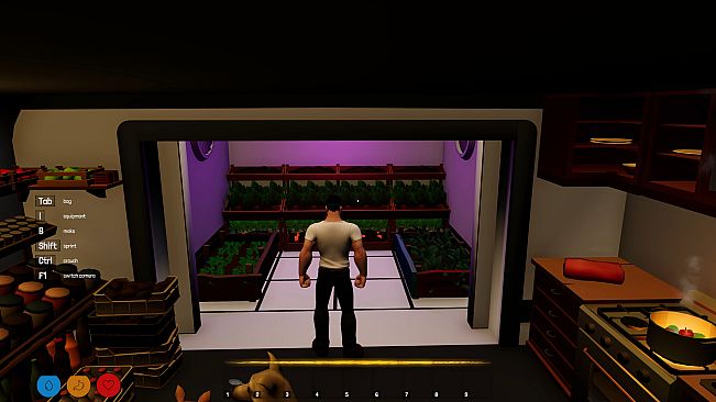 Road Survival: Bigger on the Inside