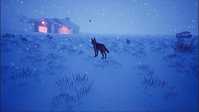 Left In The Forest